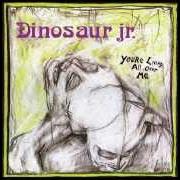 The lyrics SHOW ME THE WAY of DINOSAUR JR. is also present in the album Your living all over me