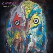 The lyrics I AIN'T of DINOSAUR JR. is also present in the album Sweep it into space (2021)