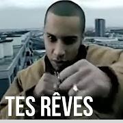 The lyrics MON QUARTIER, MON GHETTO of DISIZ LA PESTE is also present in the album Dans tes rêves (2005)