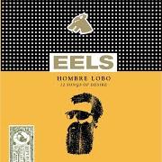 The lyrics MY TIMING IS OFF of EELS is also present in the album Hombre lobo: 12 songs of desire (2009)