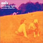 The lyrics UNDERSTANDING SALESMEN of EELS is also present in the album Blinking lights and other revelations - disc 1 (2005)