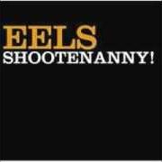The lyrics ALL IN A DAY'S WORK of EELS is also present in the album Shootenanny! (2003)