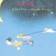 The lyrics ELIZABETH ON THE BATHROOM FLOOR of EELS is also present in the album Electro-shock blues (1998)
