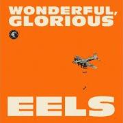 The lyrics OPEN MY PRESENT of EELS is also present in the album Wonderful, glorious (2013)