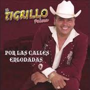 The lyrics EL COMPA TORTILLAS of EL TIGRILLO PALMA is also present in the album Por las calles enlodadas (2007)