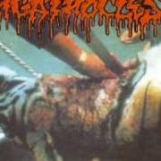 The lyrics THY KINGDOM WON'T COME of AGATHOCLES is also present in the album A for arrogance (1996)