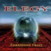 The lyrics I BELIEVE of ELEGY is also present in the album Forbidden fruit (2000)