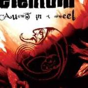 The lyrics TWELVE of ELENIUM is also present in the album Caught in a wheel (2007)