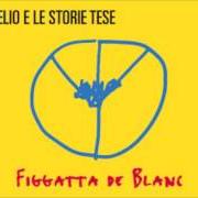 The lyrics I DELFINI NUOTANO of ELIO E LE STORIE TESE is also present in the album Figatta de blanc (2016)