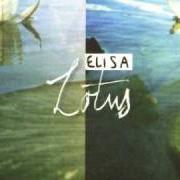 The lyrics INTERLUDE of ELISA is also present in the album Lotus (2003)