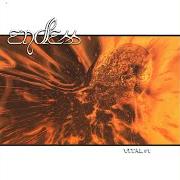 The lyrics PILGRIM of ENDLESS is also present in the album Vital #1 (2001)