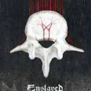 The lyrics RELECTIONS of ENSLAVED is also present in the album Vertebrae (2008)