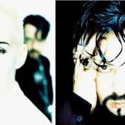 The lyrics (MY MY) BABY'S GONNA CRY of EURYTHMICS is also present in the album We too are one (1989)