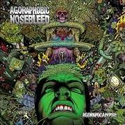 The lyrics HUNG FROM THE RISING SUN of AGORAPHOBIC NOSEBLEED is also present in the album Agorapocalypse (2009)
