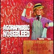 The lyrics BONES IN ONE BAG (ORGANS IN ANOTHER) of AGORAPHOBIC NOSEBLEED is also present in the album Honky reduction (1998)