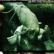The lyrics NOW BELIEVER GENOCIDE of EXTREME NOISE TERROR is also present in the album Being and nothing (2001)