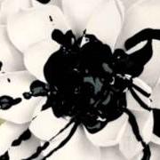 The lyrics HARSH of EYES SET TO KILL is also present in the album White lotus (2011)
