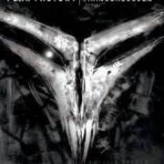 The lyrics EMPTY VISION of FEAR FACTORY is also present in the album Transgression (2005)