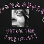 The lyrics NEWSPAPER of FIONA APPLE is also present in the album Fetch the bolt cutters (2020)