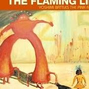 The lyrics ALL WE HAVE IS NOW of THE FLAMING LIPS is also present in the album Yoshimi battles the pink robots (2002)