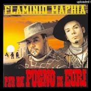 The lyrics L'HAI MESSA IN BANCA of FLAMINIO MAPHIA is also present in the album Per un pugno di euri (2005)