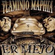 The lyrics VAMOS ALLA PLAYA (COI FLAMINIO MAPHIA) of FLAMINIO MAPHIA is also present in the album Er mejo (2010)
