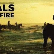 The lyrics MOON of FOALS is also present in the album Holy fire (2013)