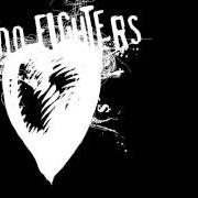 The lyrics HALO of FOO FIGHTERS is also present in the album One by one (2002)