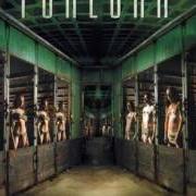 The lyrics STIGMATA DAMNATION of FORLORN is also present in the album Hybernation (2003)
