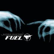 The lyrics MOST OF ALL of FUEL is also present in the album Natural selection (2003)