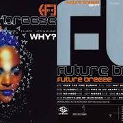 The lyrics WORDS of FUTURE BREEZE is also present in the album Why? (1996)
