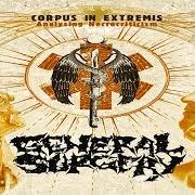The lyrics PLEXUS NECROSIS of GENERAL SURGERY is also present in the album Corpus in extremis: analysing necrocriticism (2009)