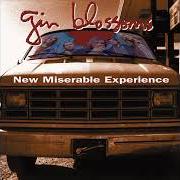 The lyrics MEMPHIS TIME of GIN BLOSSOMS is also present in the album Congratulations i'm sorry (1996)