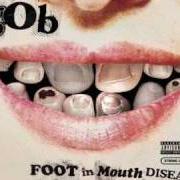 The lyrics I CUT MYSELF, TOO of GOB is also present in the album Foot in mouth disease (2003)