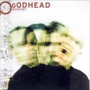 The lyrics I AM of GODHEAD is also present in the album Godhead (1995)