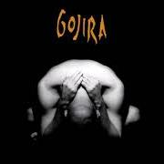The lyrics IN THE FOREST of GOJIRA is also present in the album Terra incognita (2001)