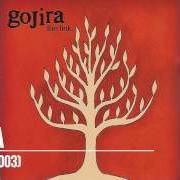The lyrics DAWN of GOJIRA is also present in the album The link (2003)