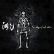 The lyrics ESOTERIC SURGERY of GOJIRA is also present in the album The way of all flesh (2008)