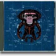 The lyrics DE-PUNKED (PUNK) of GORILLAZ is also present in the album Laika come home (2002)