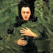 The lyrics FANTAISIE MILITAIRE of ALAIN BASHUNG is also present in the album Fantaisie militaire (1998)