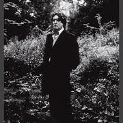 The lyrics EST-CE AIMER of ALAIN BASHUNG is also present in the album L'imprudence (2002)