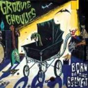 The lyrics I WANNA HAVE FUN of GROOVIE GHOULIES is also present in the album Born in the basement (1996)