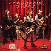 The lyrics ROWDY ROAD PEOPLE of GROOVY AARDVARK is also present in the album Sévices rendus (2005)
