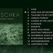 The lyrics SKATING THROUGH THE WOODS of HAUSCHKA is also present in the album A different forest (2019)