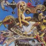 The lyrics WILLIE THE REBEL of HOGWASH is also present in the album Fungus fantasia (1997)