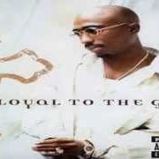 The lyrics DON'T YOU TRUST ME? of 2PAC is also present in the album Loyal to the game (2004)