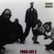 The lyrics DEFINITION OF A THUG NIGGA of 2PAC is also present in the album The best of 2pac - part 2: life (2007)