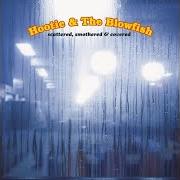 The lyrics I GO BLIND of HOOTIE AND THE BLOWFISH is also present in the album Scattered, smothered & covered (2000)