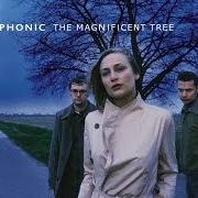 The lyrics L'ODEUR ANIMALE of HOOVERPHONIC is also present in the album The magnificent tree (2000)