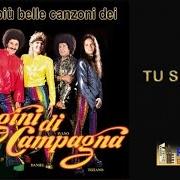 The lyrics DONNA of CUGINI DI CAMPAGNA is also present in the album Tu sei tu (1977)